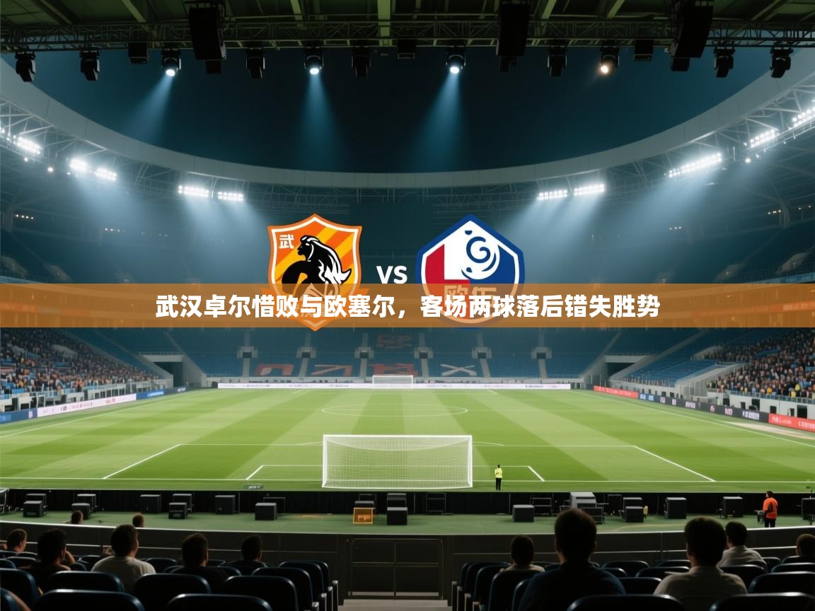 武汉卓尔惜败与欧塞尔，客场两球落后错失胜势  第1张