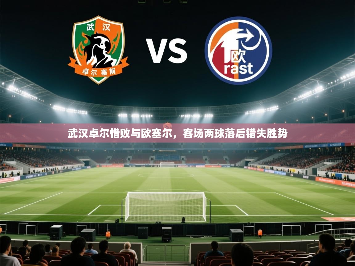 武汉卓尔惜败与欧塞尔，客场两球落后错失胜势  第2张